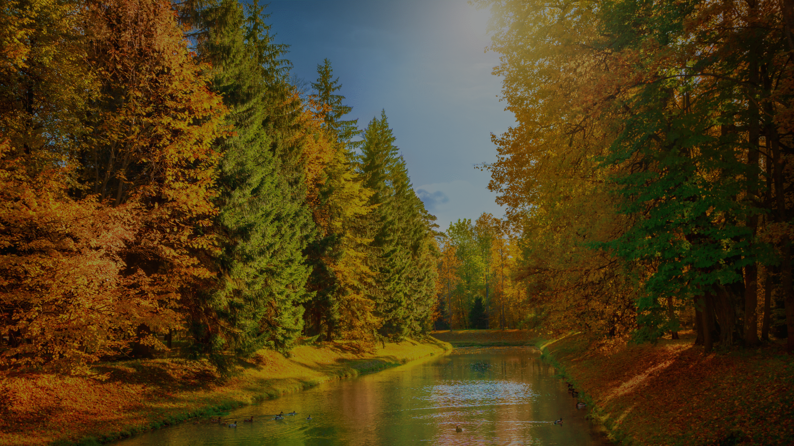 Leadership team page hero image